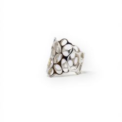Anillo panal