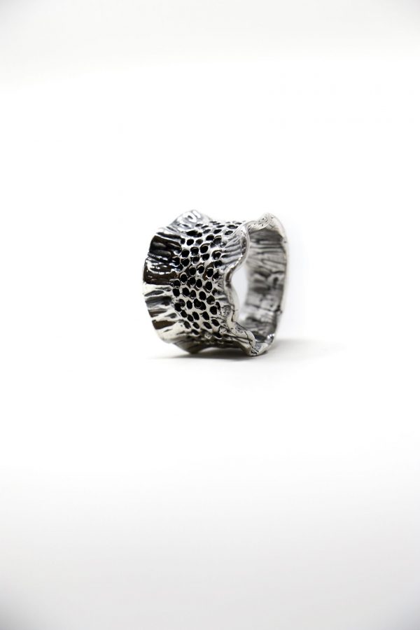 Anillo Arrecife