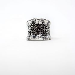 Anillo Arrecife