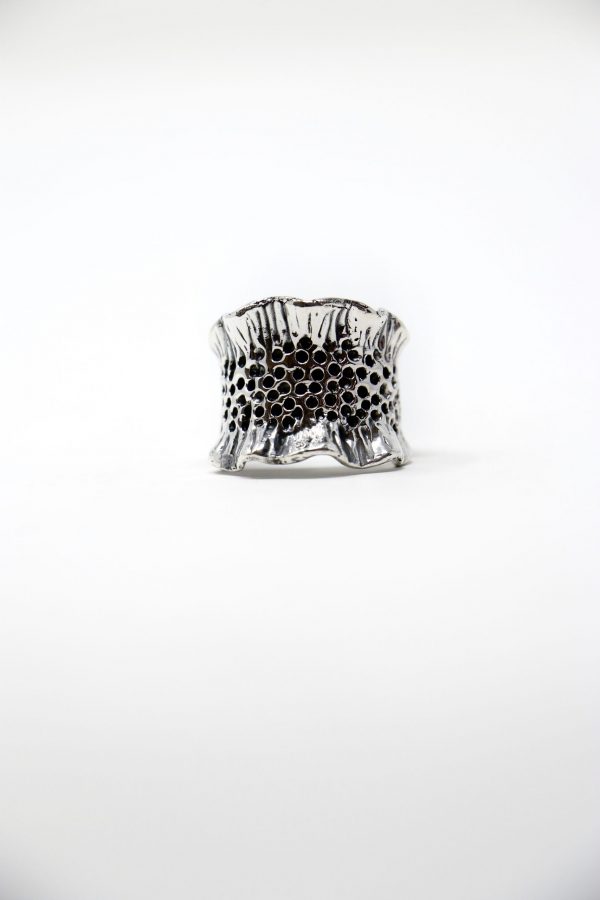 Anillo Arrecife