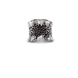 Anillo Arecife