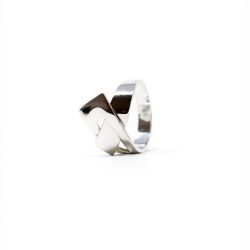 Anillo Enlance