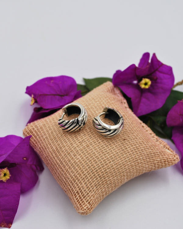 Arracada plata caracol