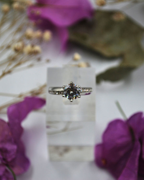 Anillo Redondo - Imagen 2