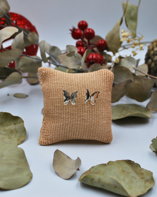 Aretes de mariposa