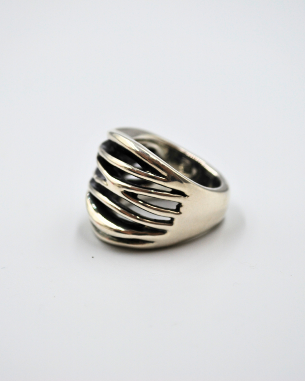 Anillo enjambre - Imagen 2