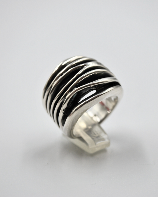 Anillo enjambre - Imagen 3