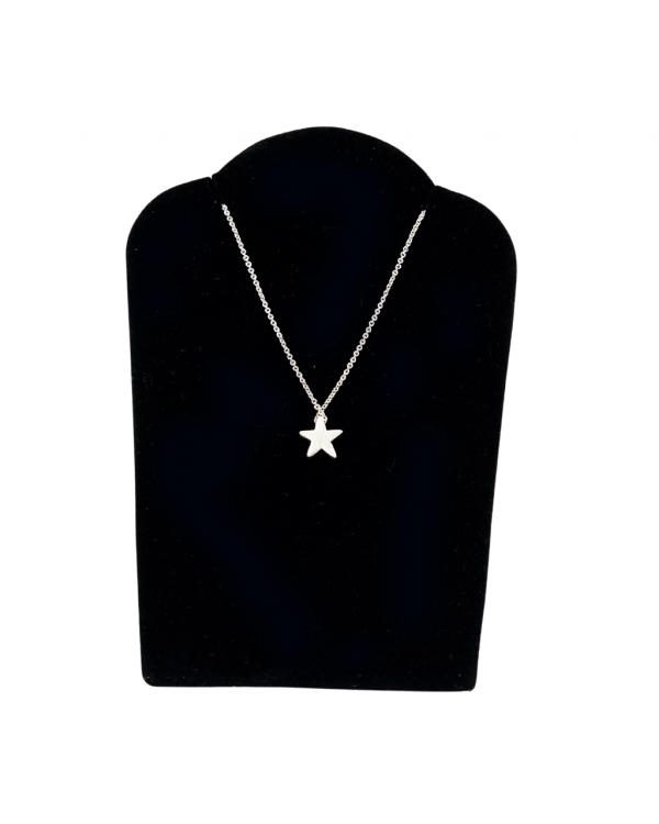 collar de plata con dije de estrella