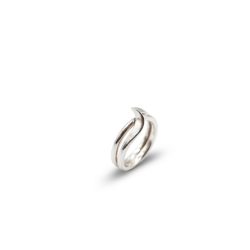 Anillo dedicación